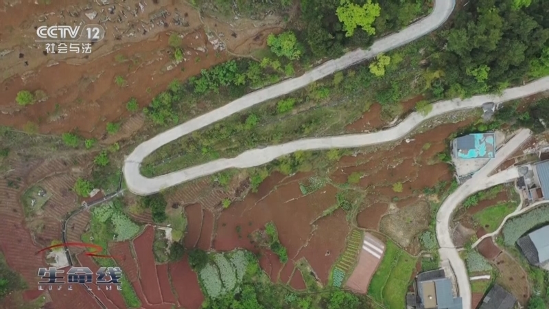 《生命线》 20250802