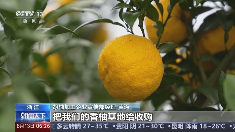 《朝闻天下》 20250813 06:00