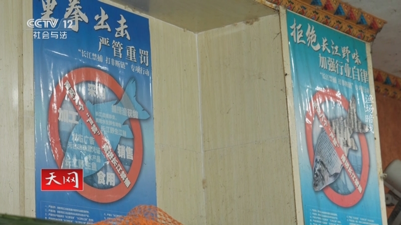 《天网》 20250814 渔场暗战