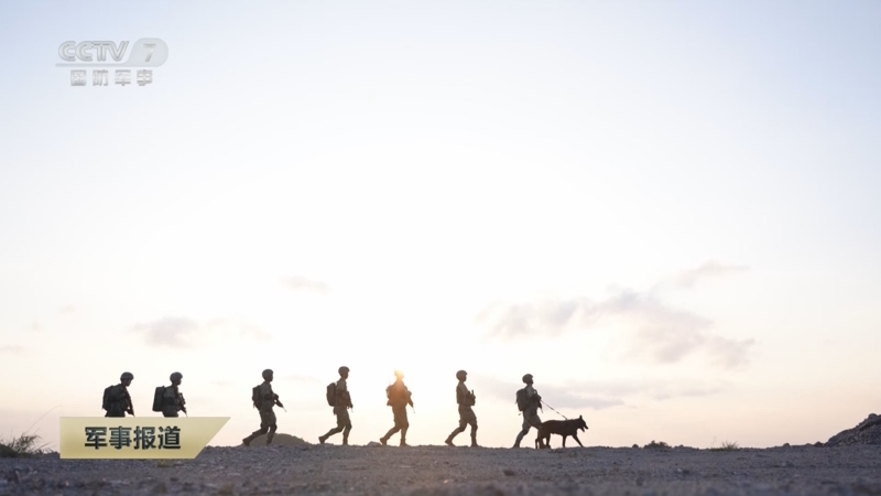 《军事报道》 20250817