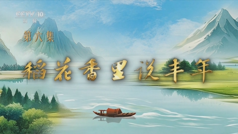 《百家讲坛》 20250820 特别节目《我见青山》（6） 稻花香里说丰年