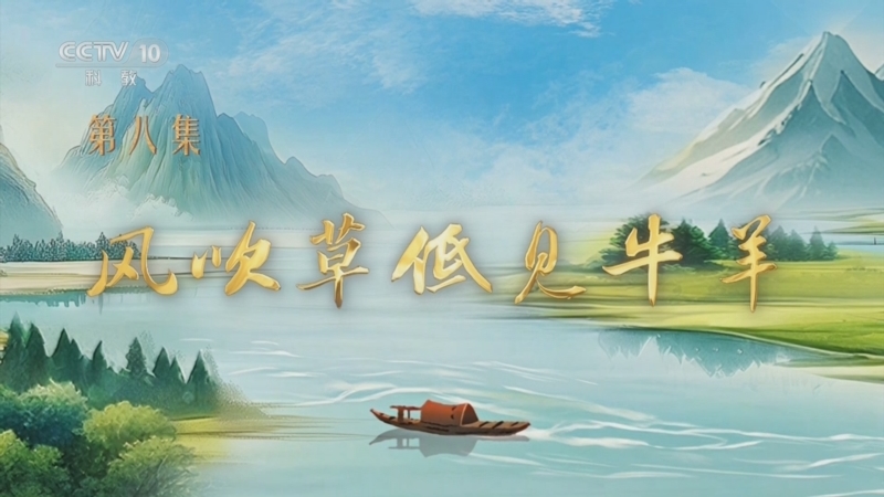 《百家讲坛》 20250822 特别节目《我见青山》（8） 风吹草低见牛羊