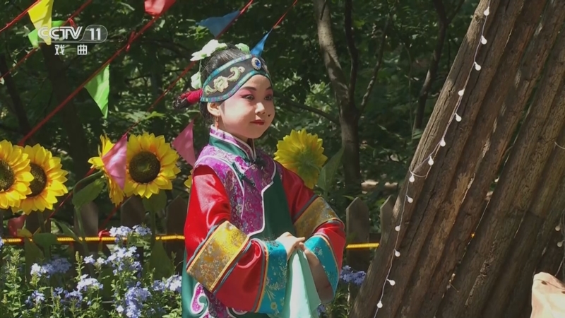 《宝贝亮相吧》 20250831 好戏“童”游