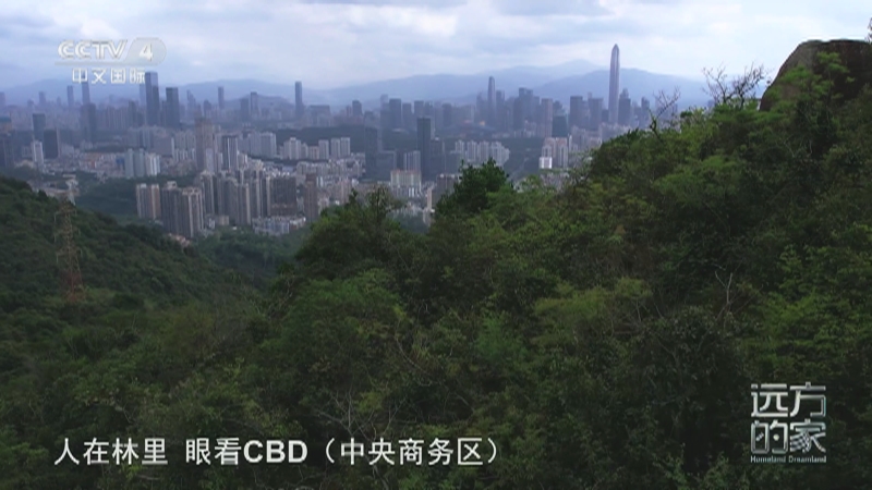 《远方的家》 20250901 山河锦绣看中国 山海连城 深圳故事