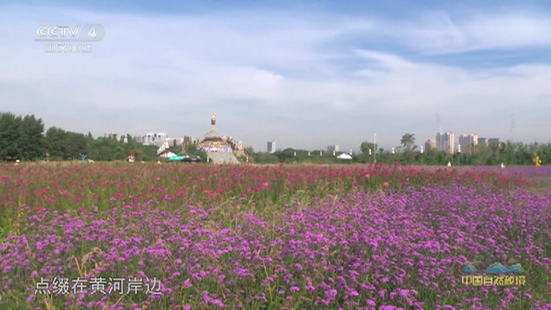 《远方的家》 20250902 中国自然秘境 青山连绿水 林海接碧波