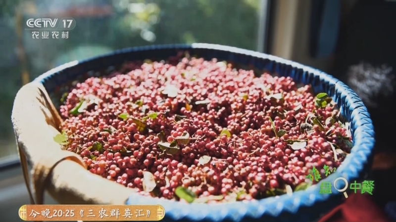 《谁知盘中餐》 20250911 丰收来敲门 金秋“料”飘香
