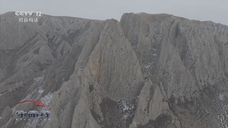 《生命线》 20250913