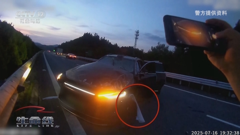 《生命线》 20250916