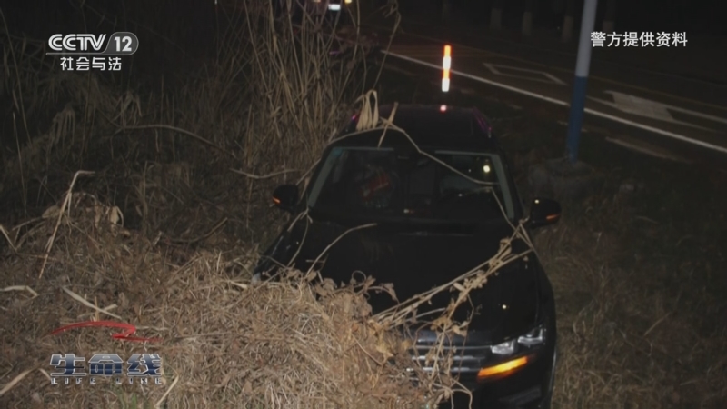 《生命线》 20250922