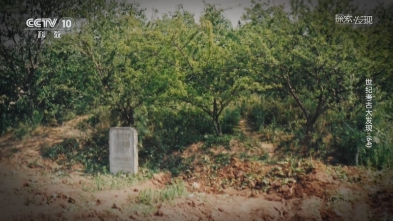 《探索·发现》 20250923 世纪考古大发现（64）