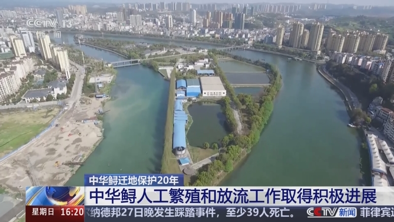 《新闻直播间》 20250928 16:00