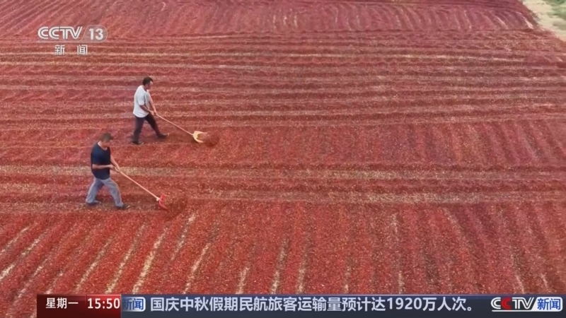 《新闻直播间》 20250929 15:00