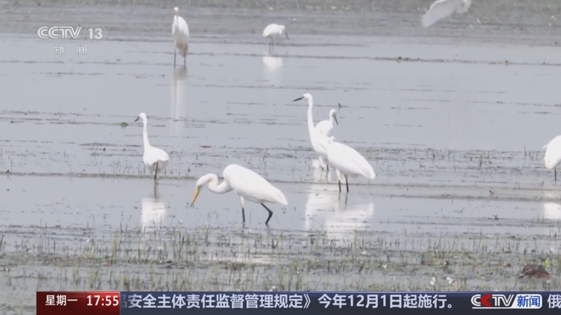 《新闻直播间》 20250929 17:00
