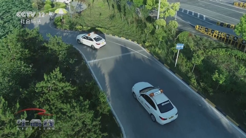 《生命线》 20250930