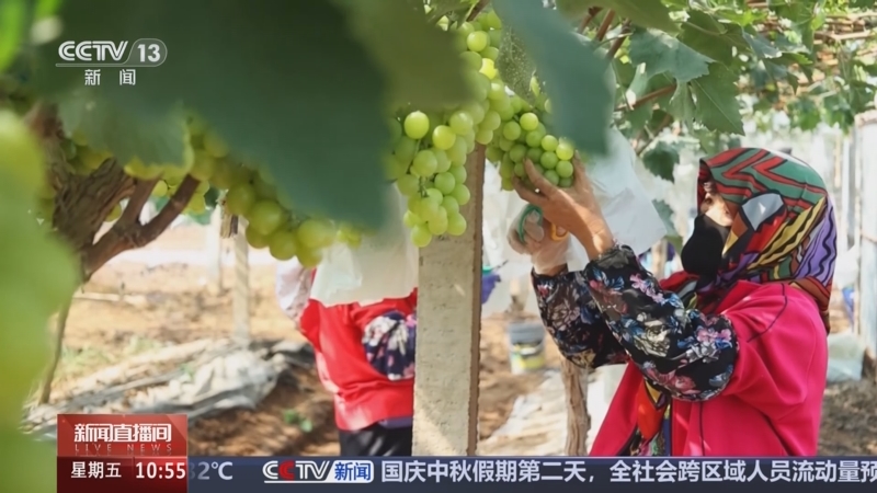 《新闻直播间》 20251003 10:00