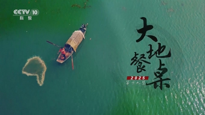 《探索·发现》 20251008 大地餐桌2025（19）