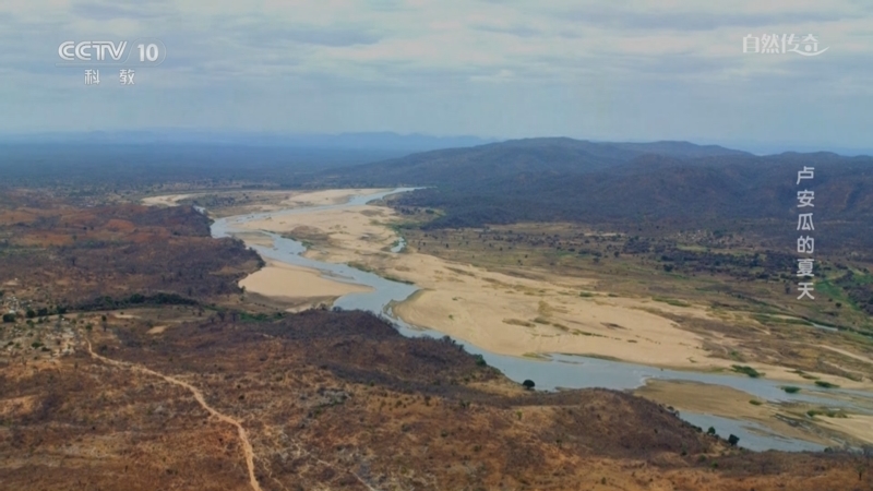 《自然传奇》 20251016 卢安瓜的夏天