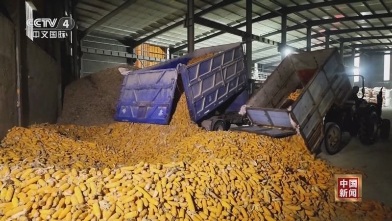 《中国新闻》 20251019 04:00