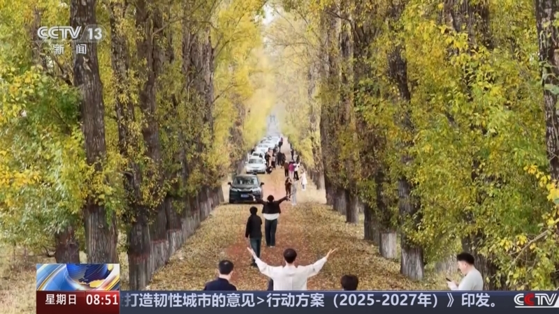 《朝闻天下》 20251019 08:00
