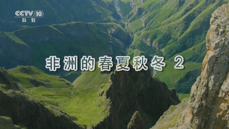 《自然传奇》 20251021 非洲的春夏秋冬 2