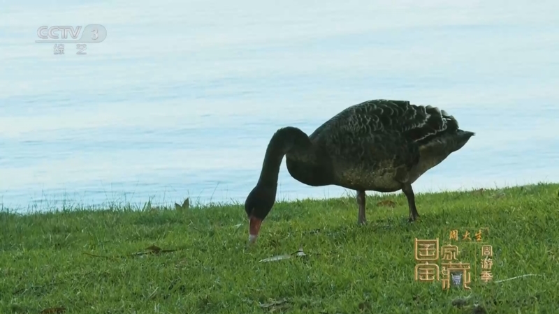 《国家宝藏·周游季》 20251021