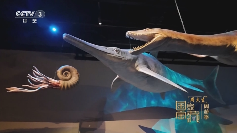 《国家宝藏·周游季》 20251022