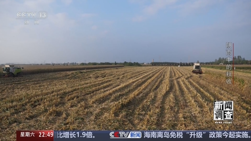 《新闻调查》 20251101 阴雨中的秋收