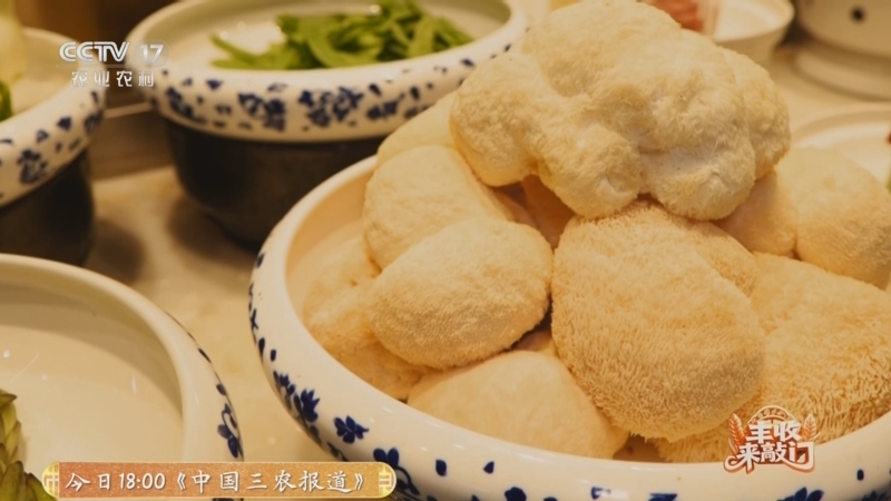 《谁知盘中餐》 20251104 丰收来敲门 小菌菇 大丰收