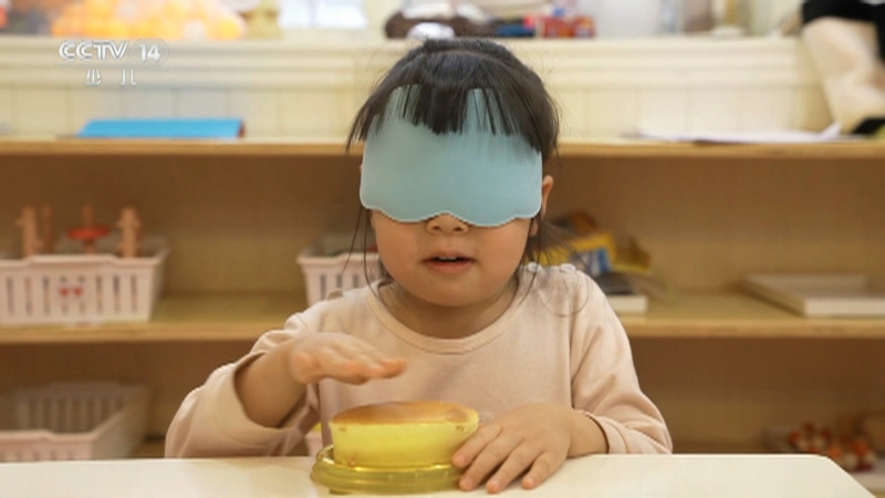 《小小智慧树》 20251106