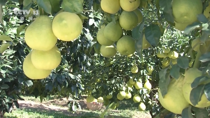 《午夜新闻》 20251109