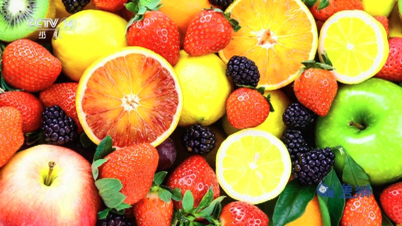 《小小智慧树》 20251125