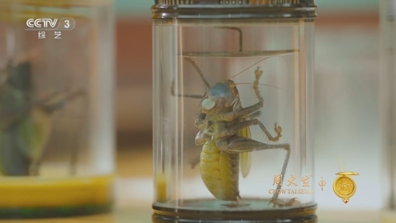 《国家宝藏·周游季》 20251125