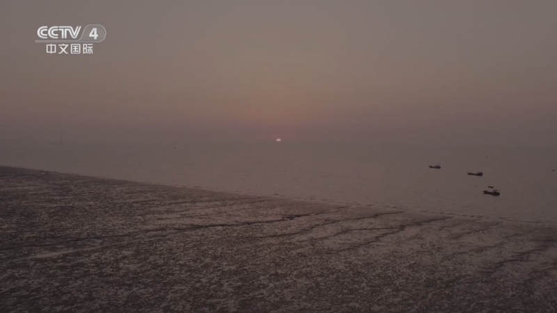 《远方的家》 20251128 山河锦绣看中国 日出东海 活力水乡