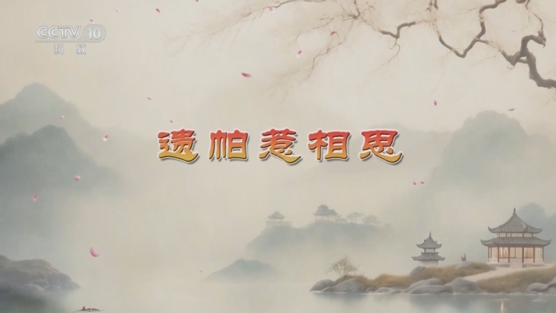 《百家讲坛》 20251214 红楼名场面（第二部） 2 遗帕惹相思