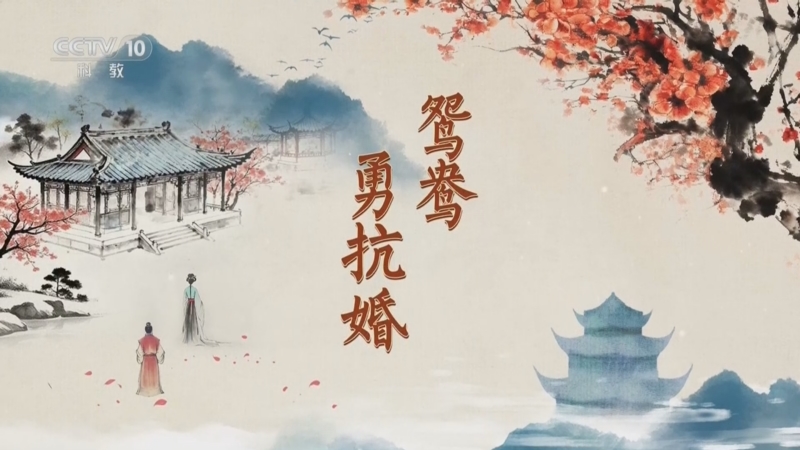 《百家讲坛》 20251223 红楼名场面（第二部） 11 鸳鸯勇抗婚