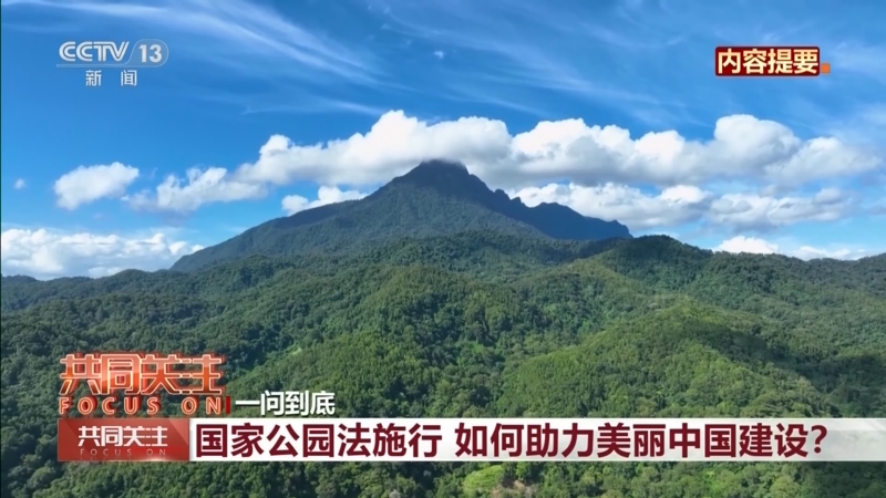 《共同关注》 20260102