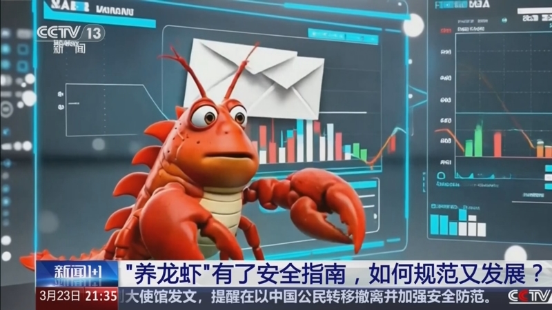 央视关于“养龙虾”安全规范的报道画面