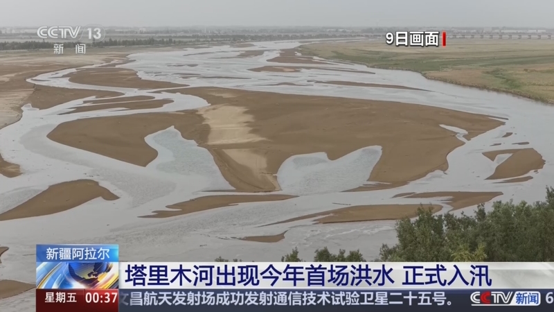 午夜新闻]新疆阿拉尔塔里木河出现今年首场洪水正式入汛