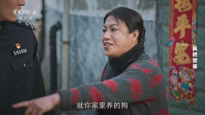 枫桥警事 8集