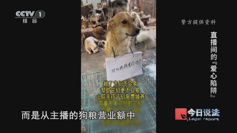 《今日说法》 20260803 直播间的“爱心陷阱”