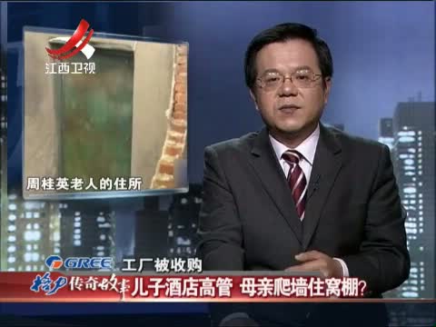 传奇故事(纪录片)