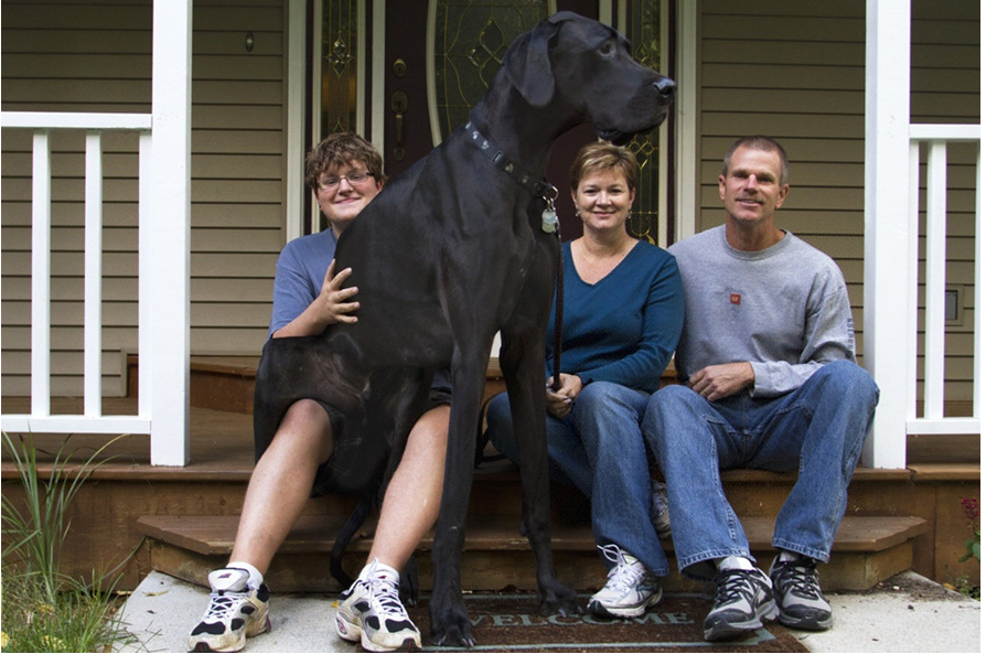   