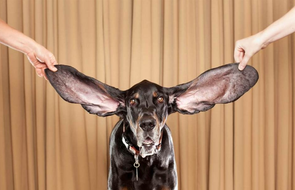    