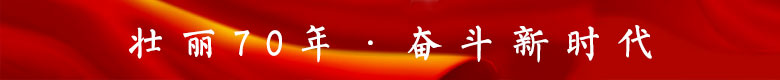 壮丽70年·奋斗新时代