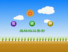 钾肥科学使用技术