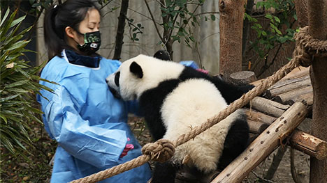 [面对面]石悦:讲明朝那些事儿的那个人(2009.04.11)_cctv.