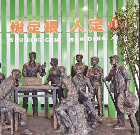 开放古树认养，名额迅速抢光