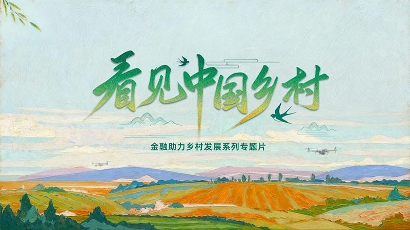 2025《看见中国乡村》金融助力乡村发展系列专题片