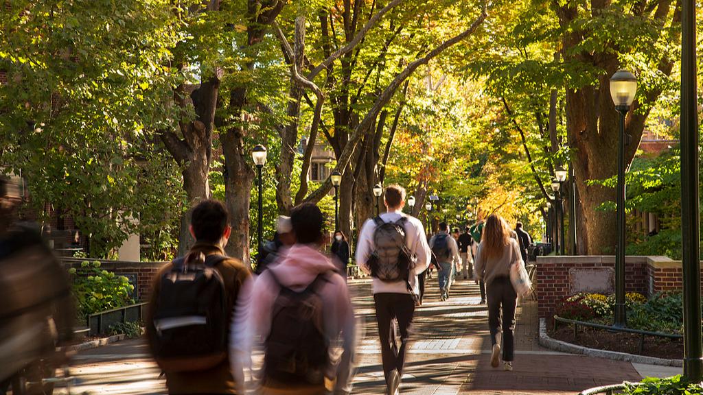 去年留学回国49.5万人 同比增长19.1%