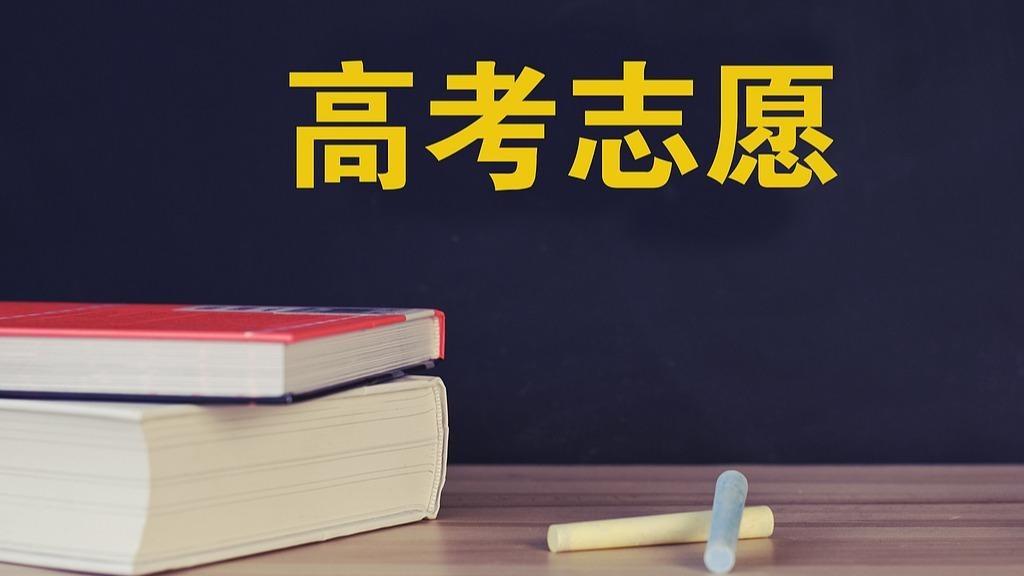 2025年高考志愿填报咨询会密集举办 多地开启志愿模拟填报